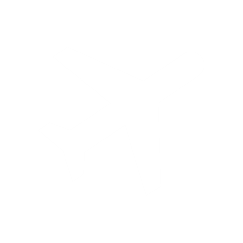 Take Visa and Fly your Journey